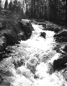 Photo d'une rivi&egrave;re, lorsque tu bois l'eau